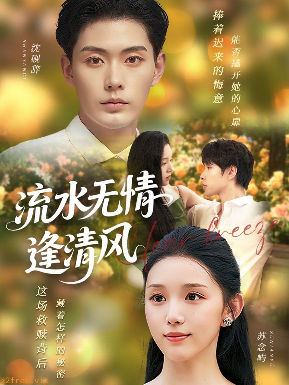 流水无情逢清风 封面图片