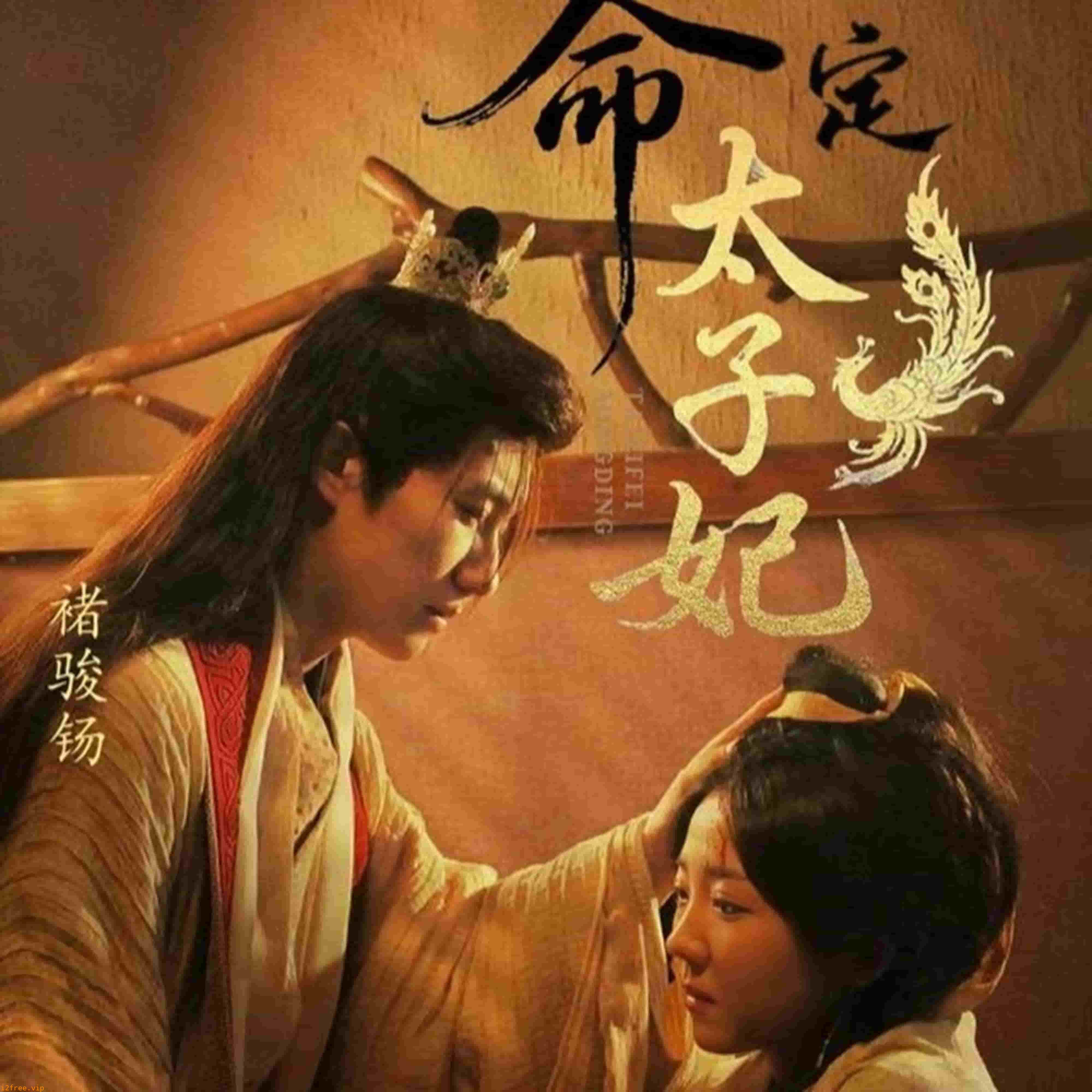 命定太子妃 封面图片