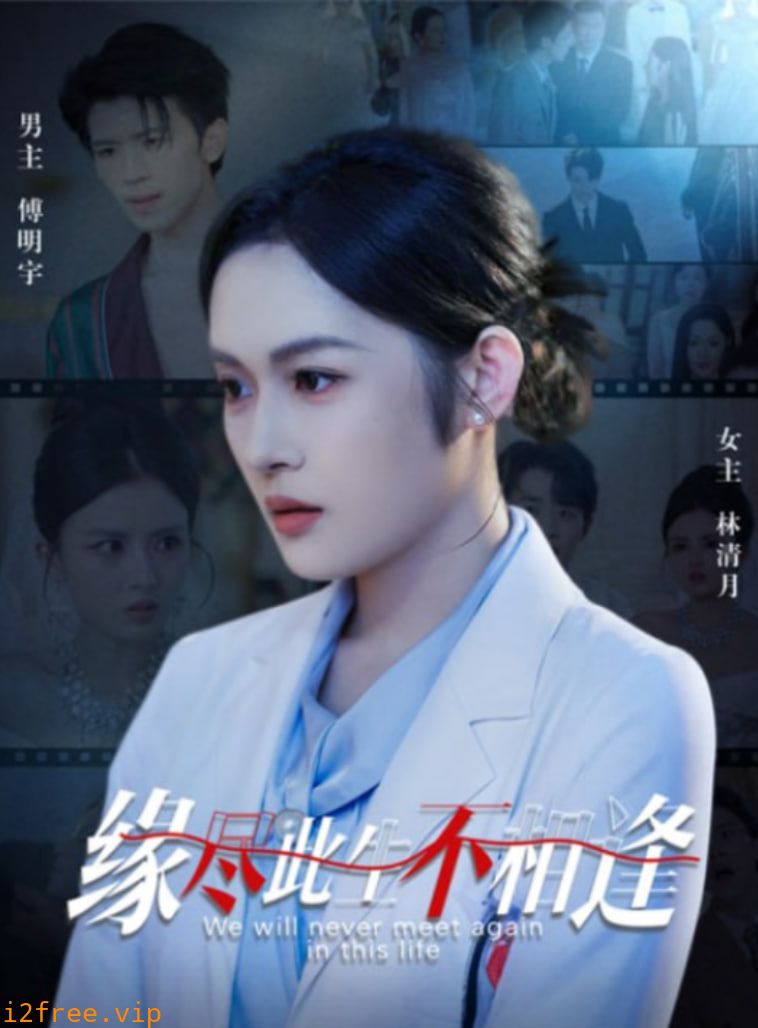 缘尽此生不相逢 封面图片