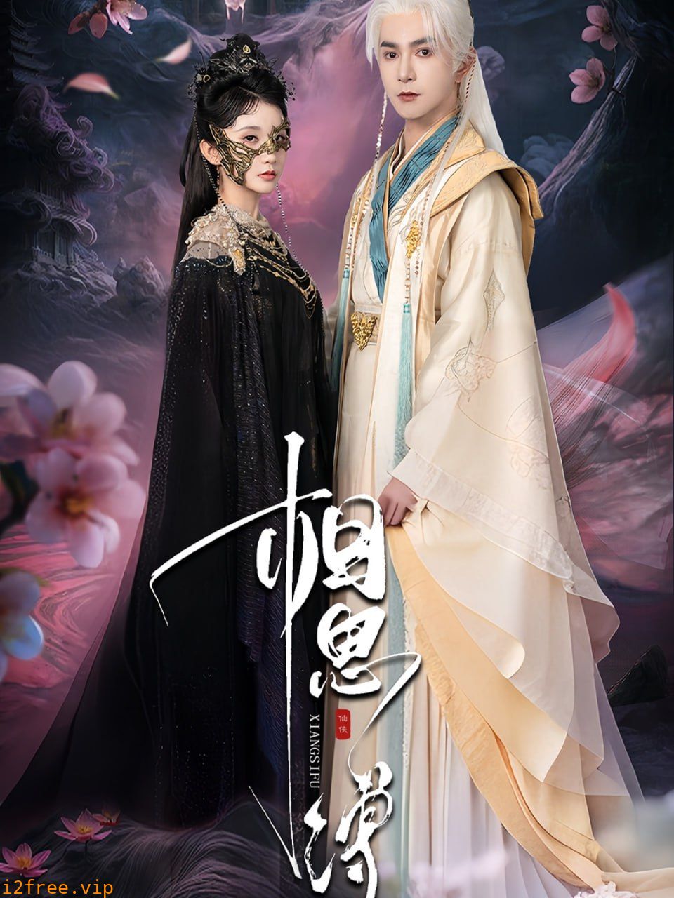相思缚 封面图片
