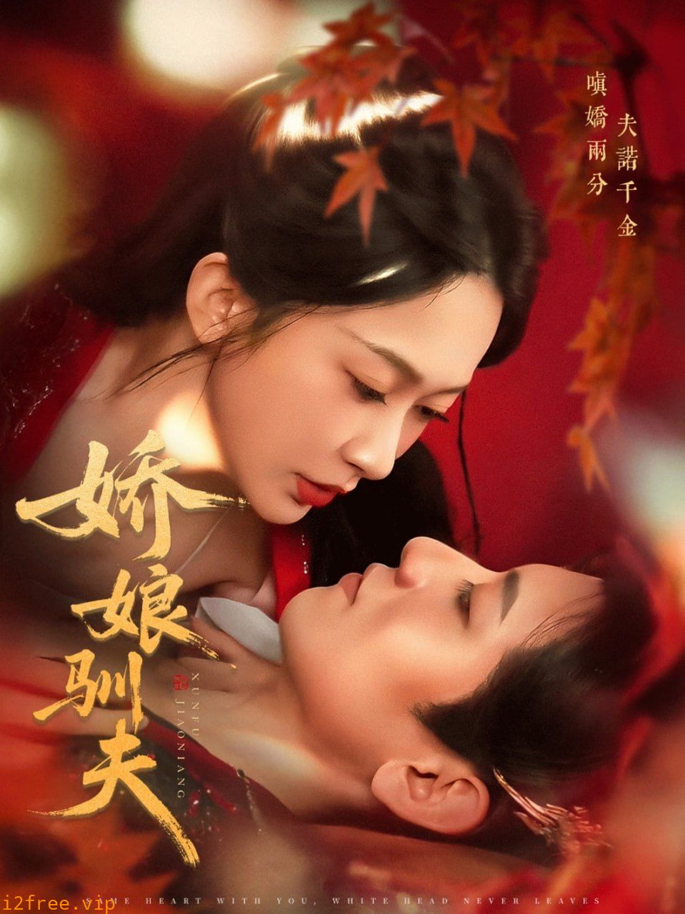 娇娘驯夫 封面图片