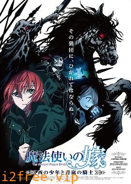 魔法使的新娘 西之少年与青岚的骑士 封面图片