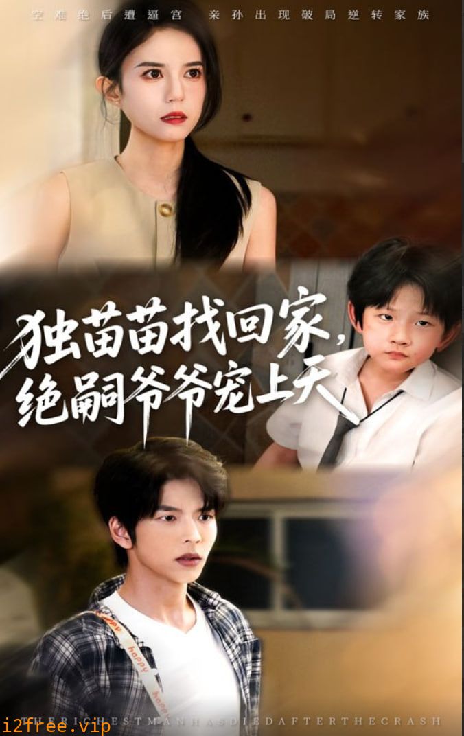 独苗苗找回家绝嗣爷爷宠上天 封面图片