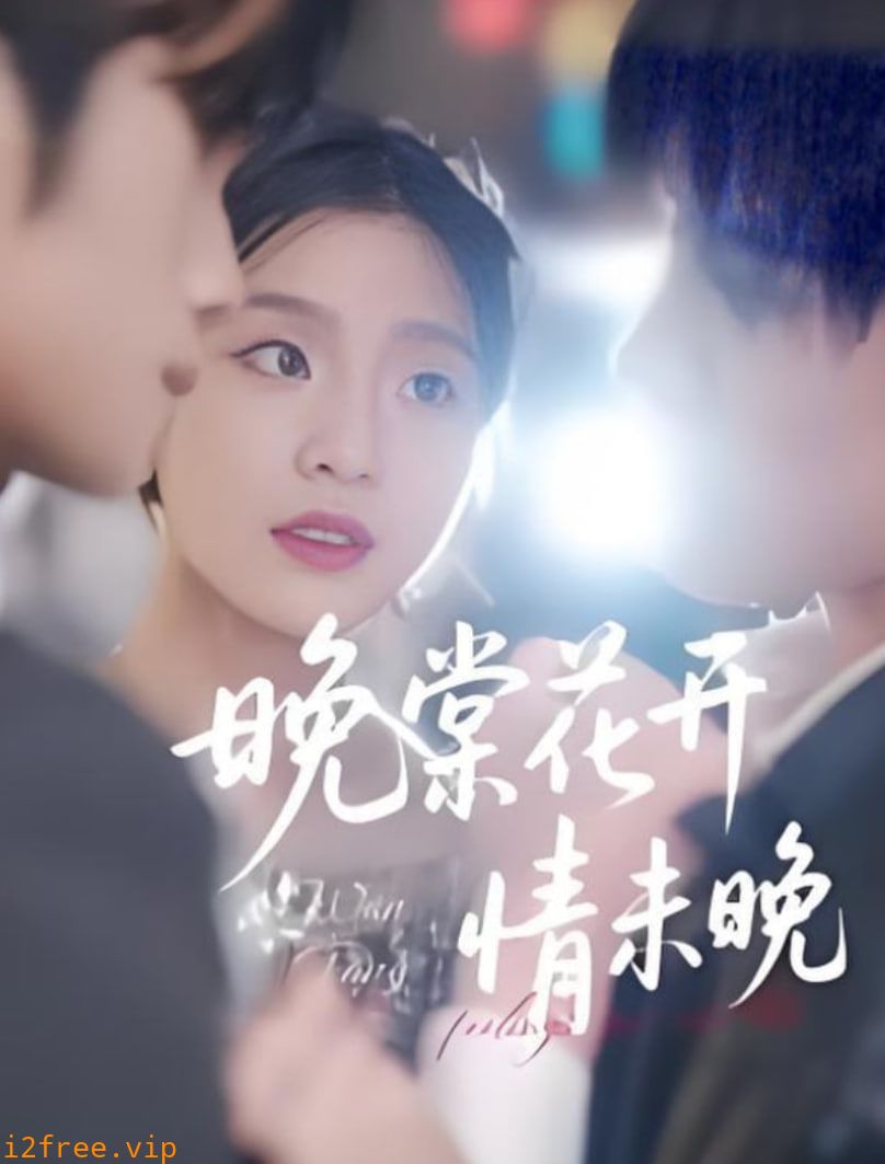 晚棠花开情未晚 封面图片