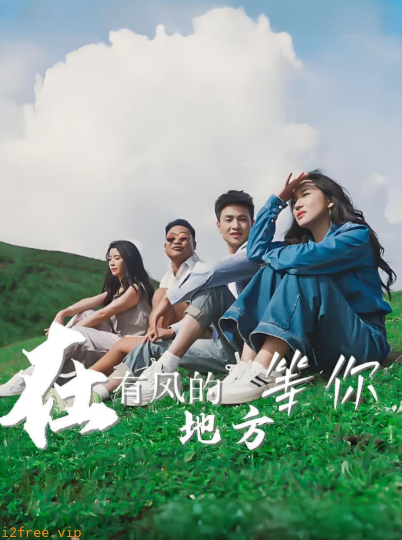 在有风的地方等你 封面图片