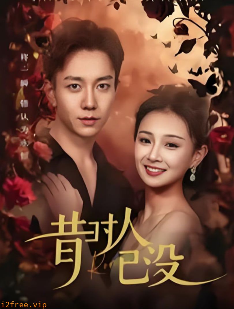 昔时人已没 封面图片
