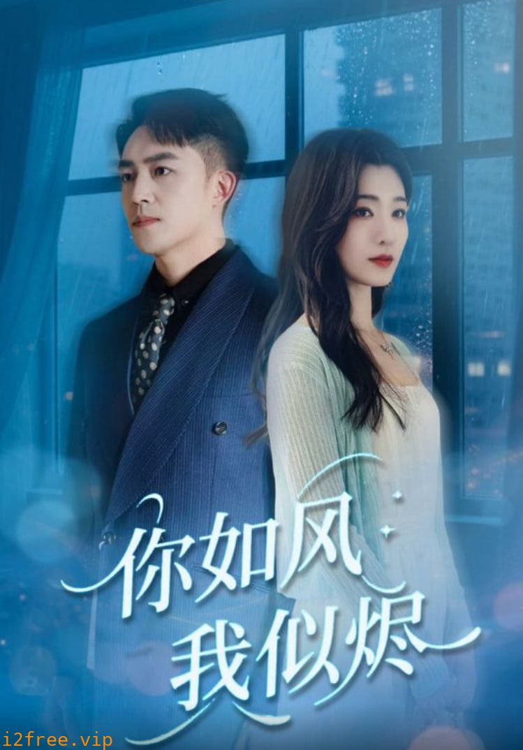 你如风我似烬 封面图片