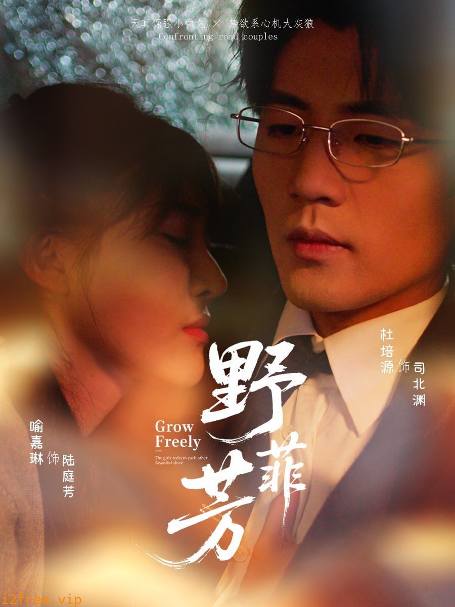 野芳菲 封面图片