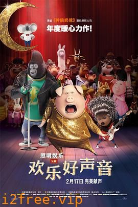 欢乐好声音 封面图片
