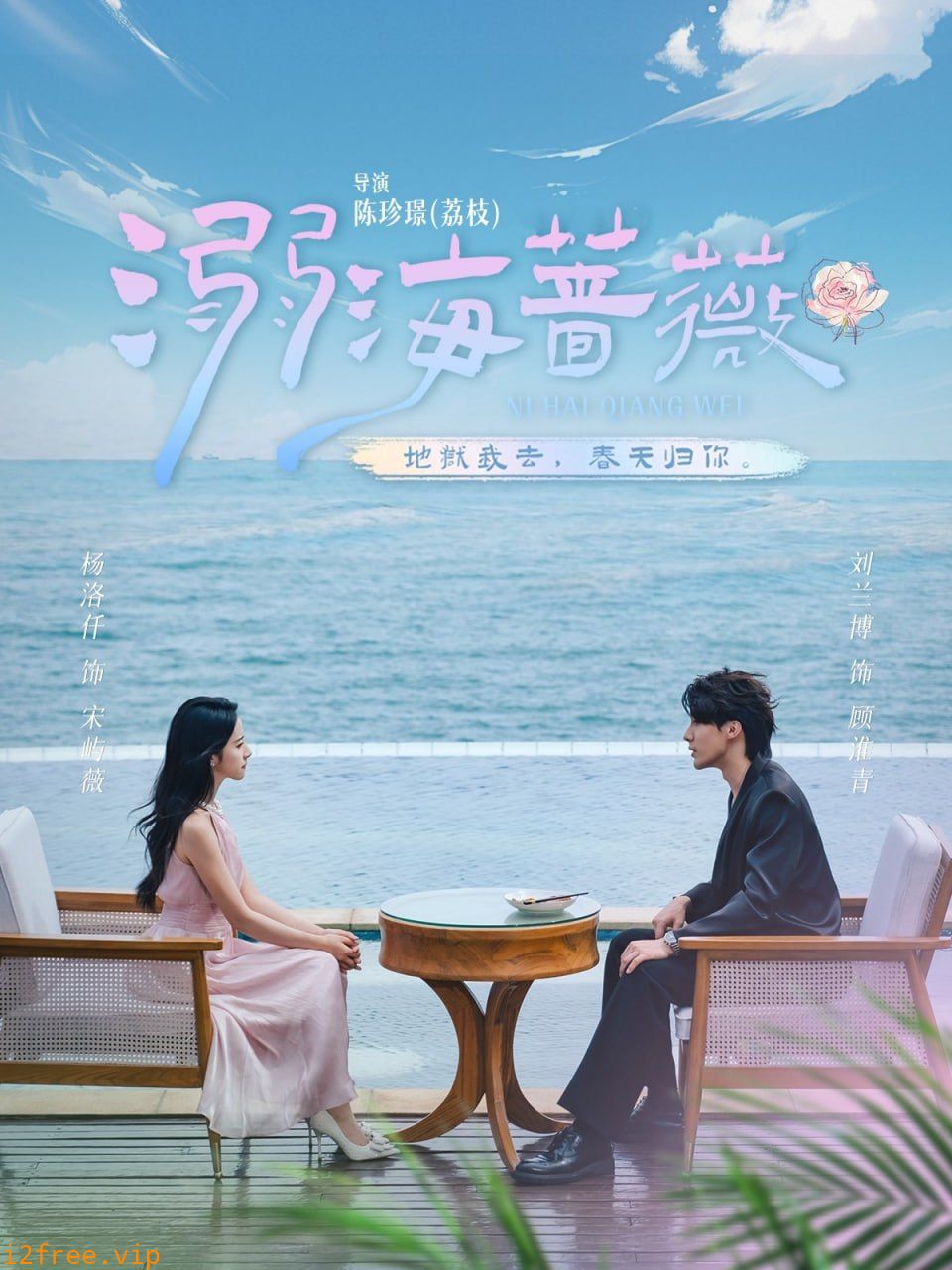 溺海蔷薇 封面图片
