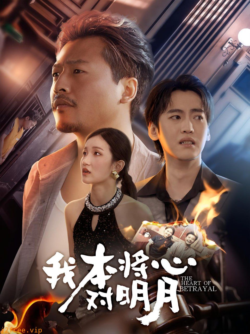 我本将心对明月 封面图片
