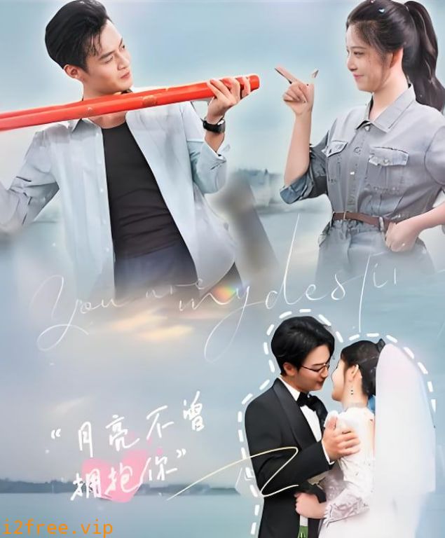 月亮不曾拥抱你 封面图片