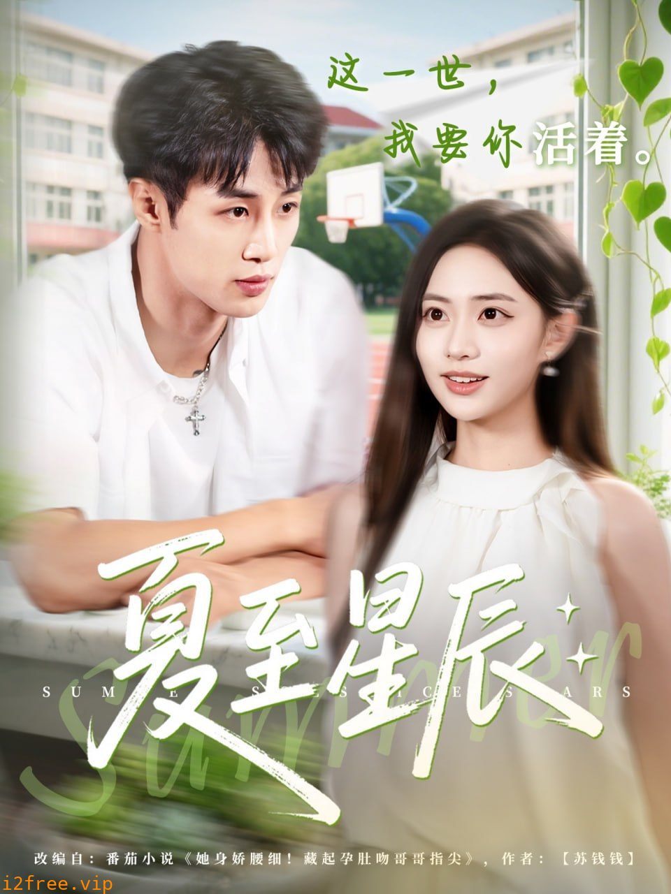 夏至星辰 封面图片