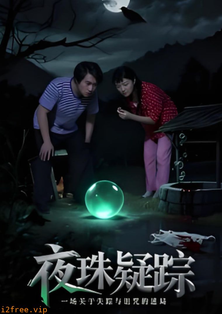 夜珠疑踪 封面图片