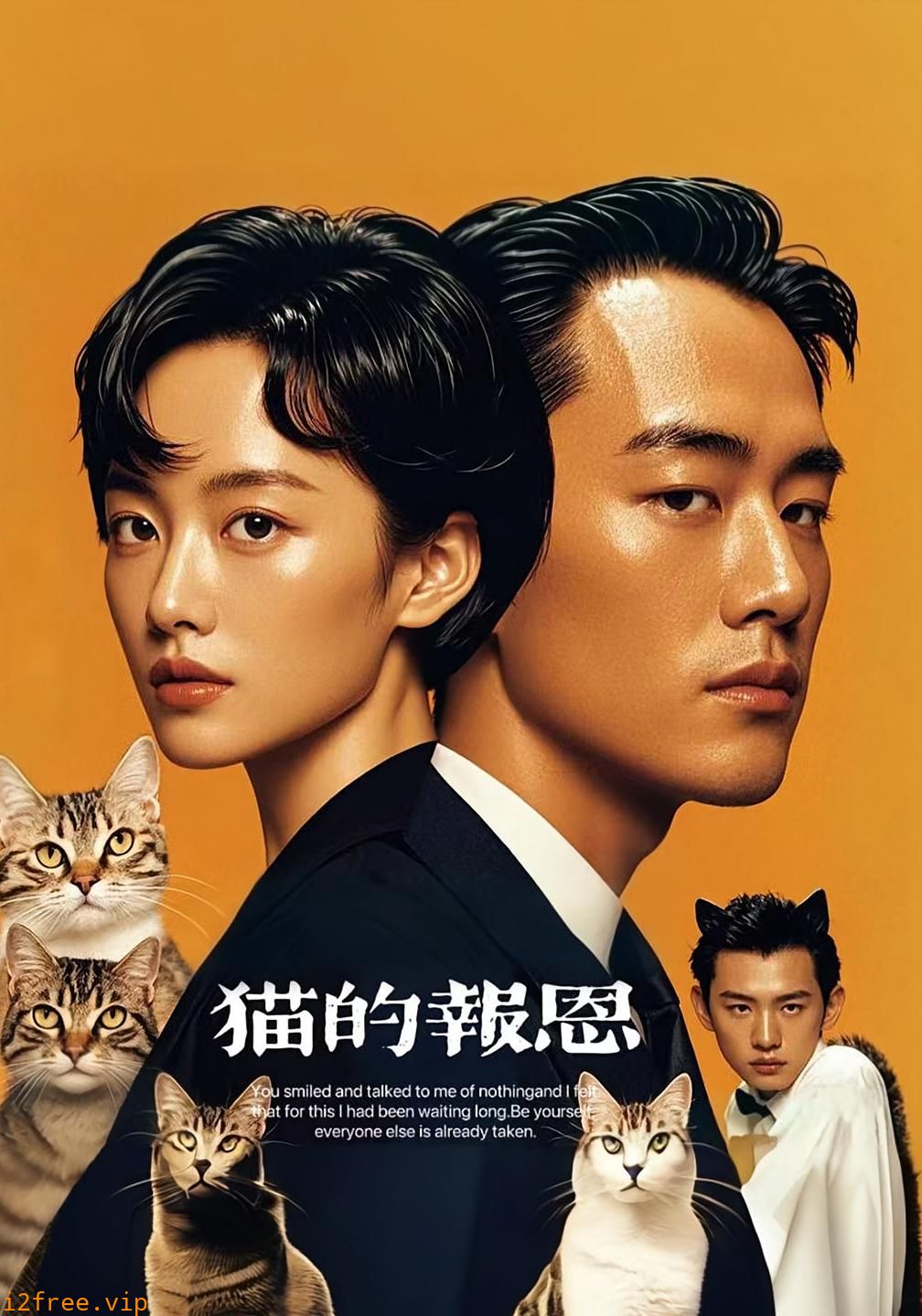 猫的报恩（短剧版） 封面图片