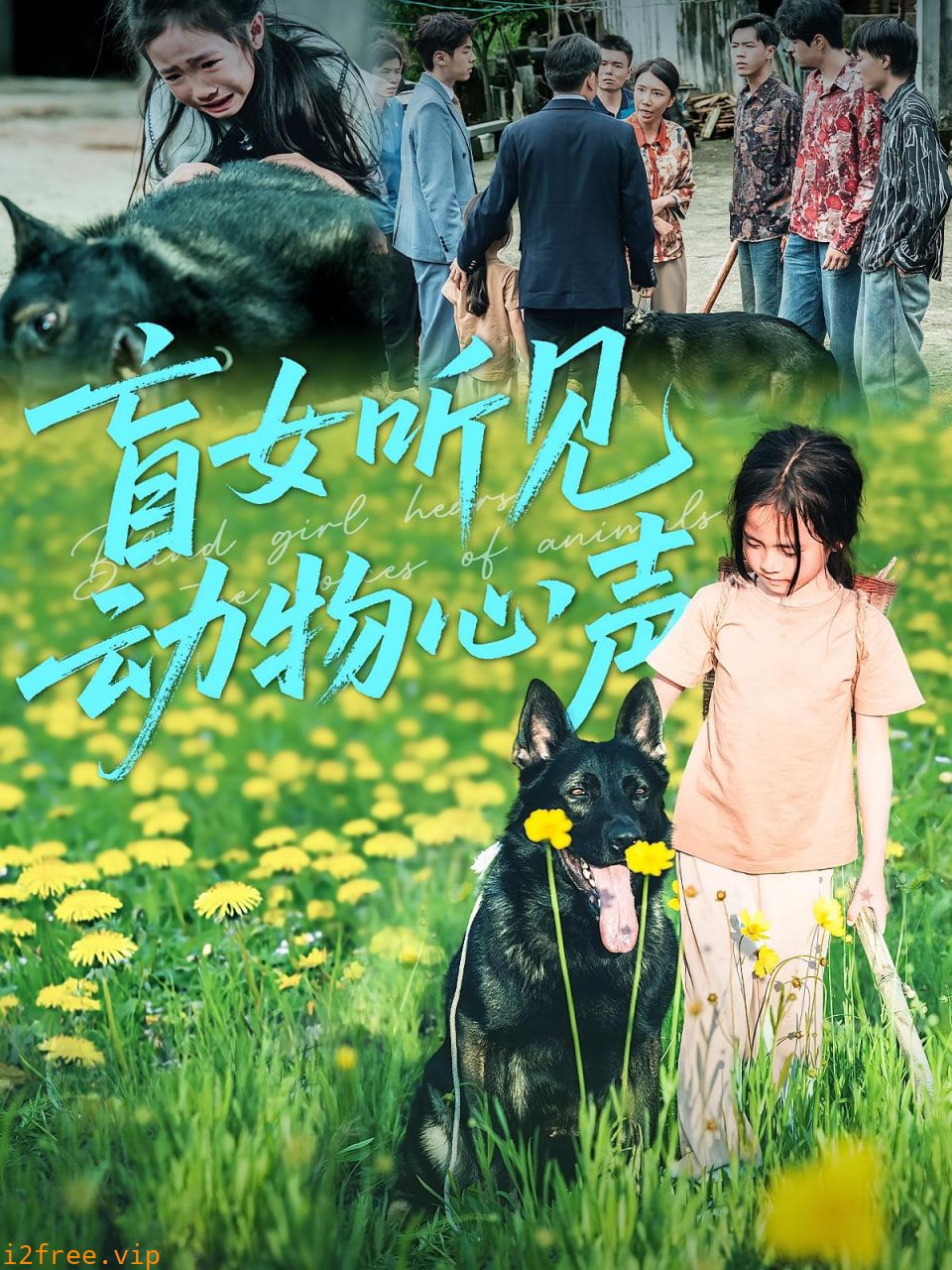 盲女听见动物心声 封面图片