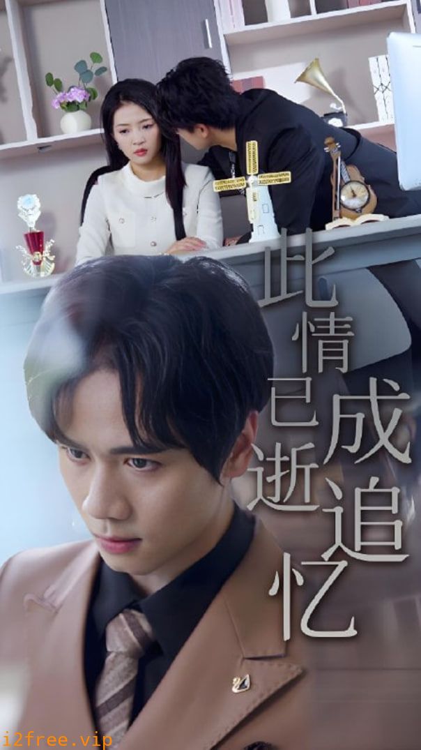 此情已逝成追忆 封面图片