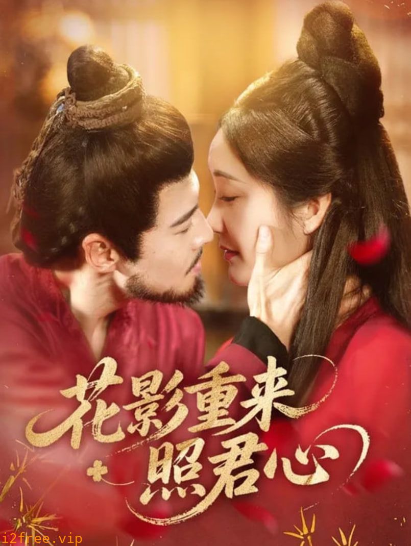 花影重来照君心 封面图片