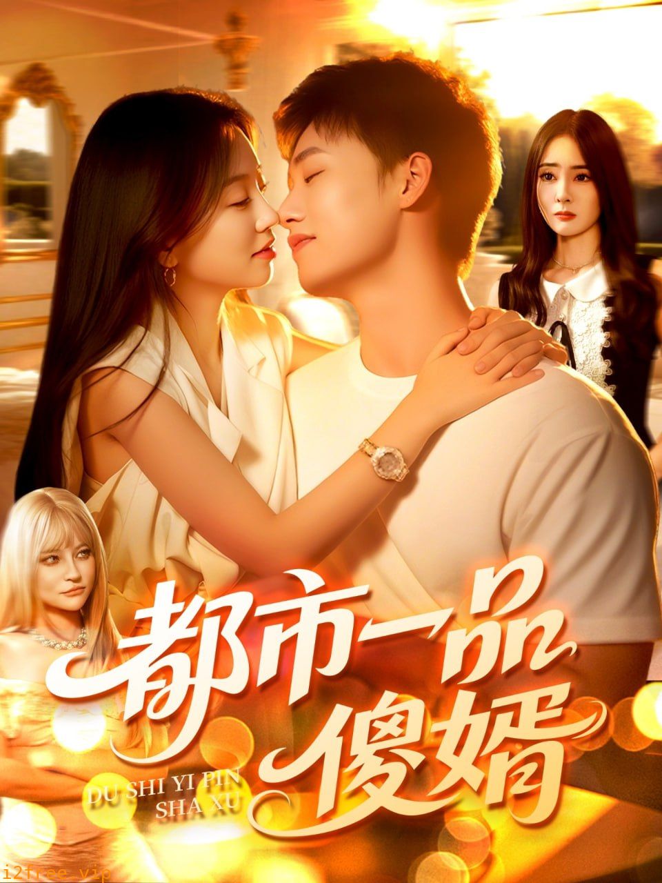 都市一品傻婿 封面图片