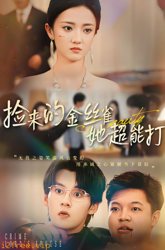 捡来的金丝雀她超能打（和小娇夫领证后夫人她不装了） 封面图片