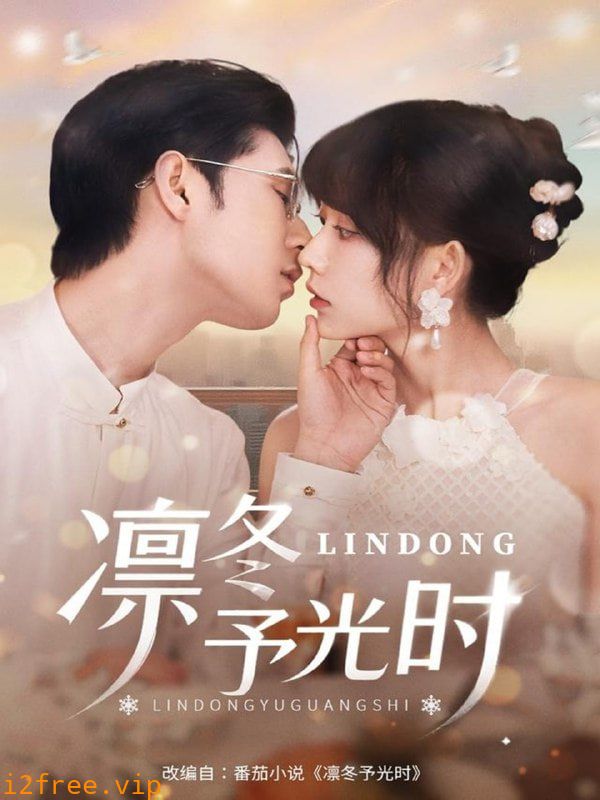 凛冬予光时 封面图片