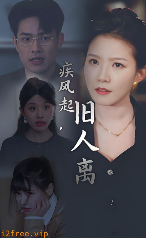疾风起旧人离 封面图片