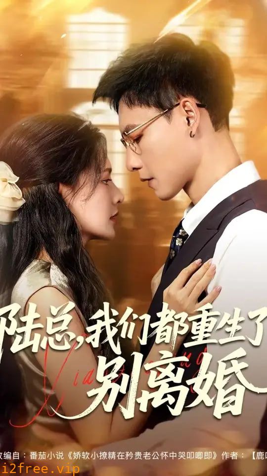 陆总我们都重生了别离婚 封面图片