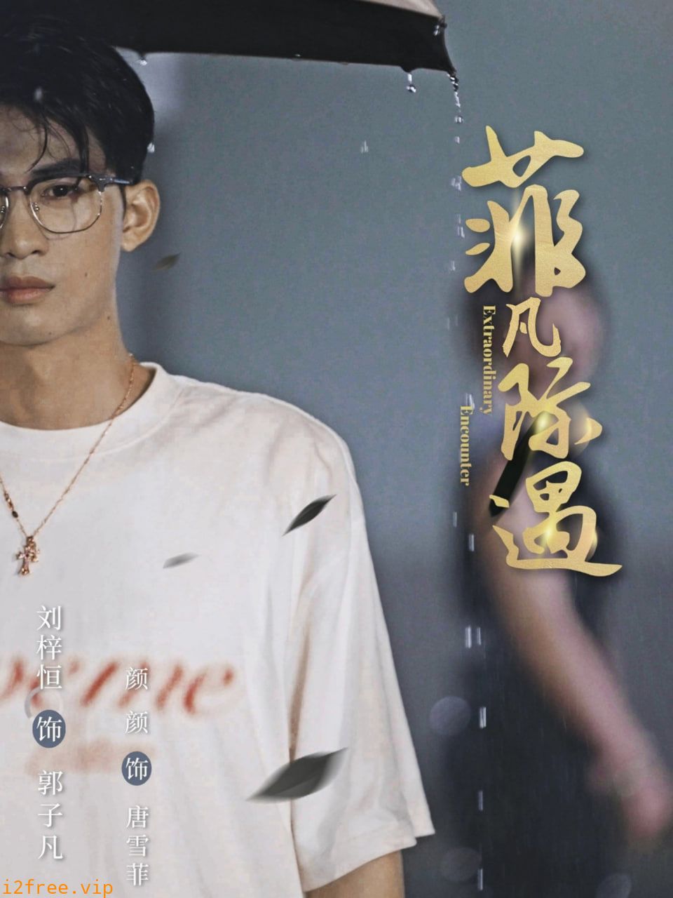 菲凡际遇 封面图片