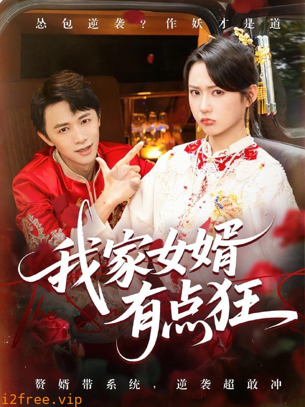 我家女婿有点狂 封面图片