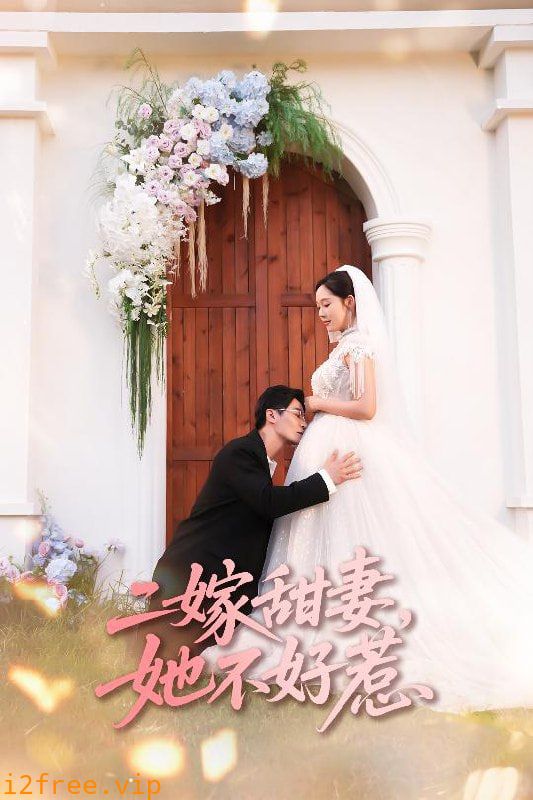 二嫁甜妻她不好惹 封面图片