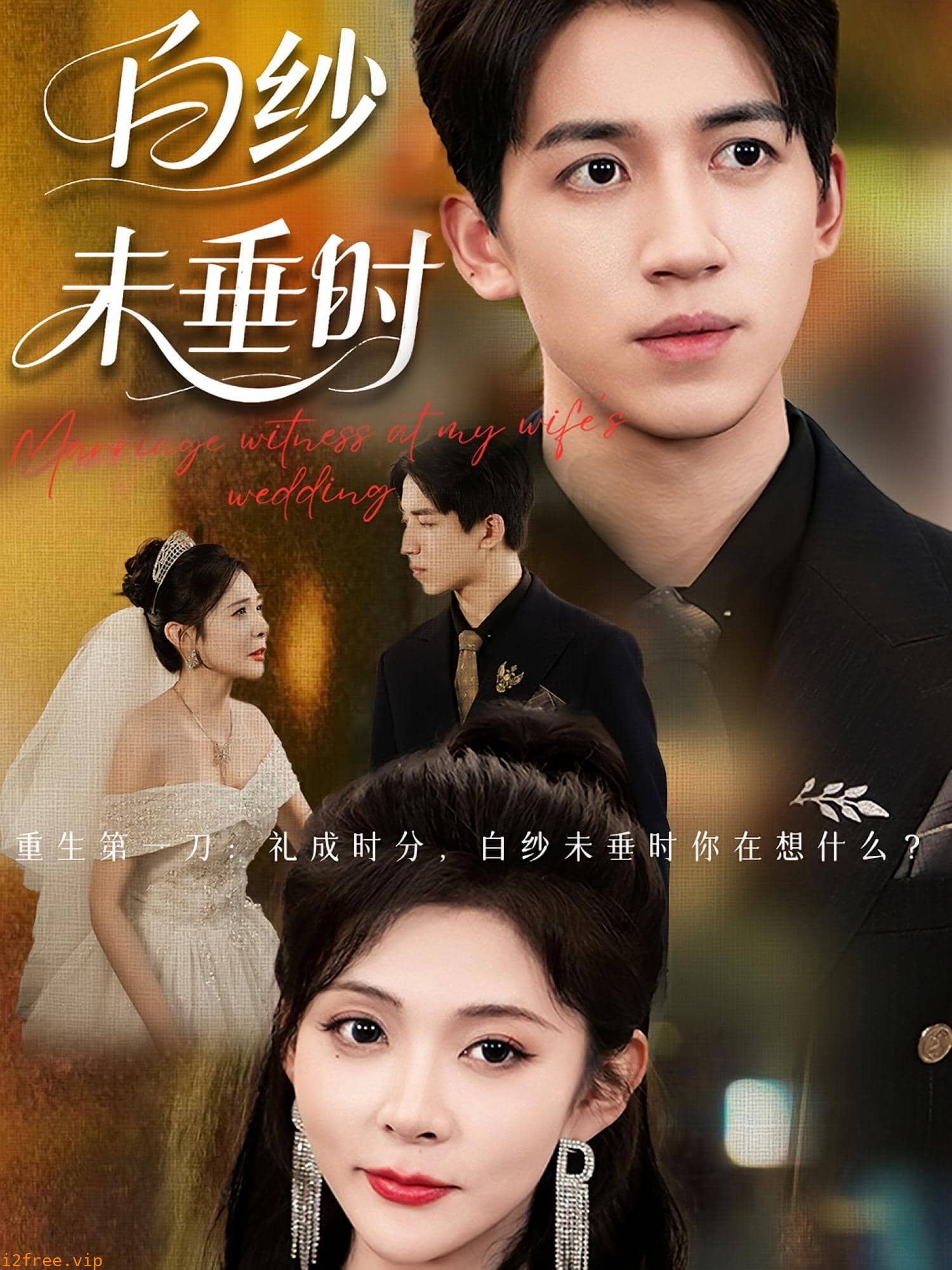 老婆婚礼我当证婚人 封面图片