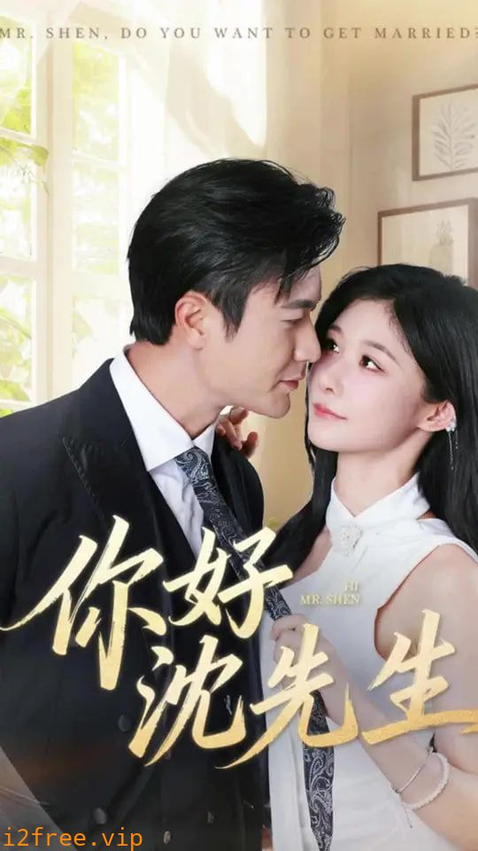 你好沈先生 封面图片