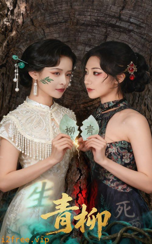 青柳 封面图片