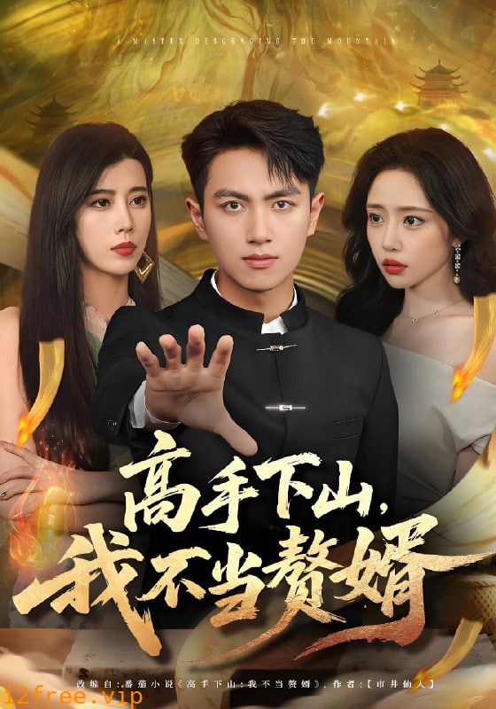 高手下山我不当赘婿 封面图片