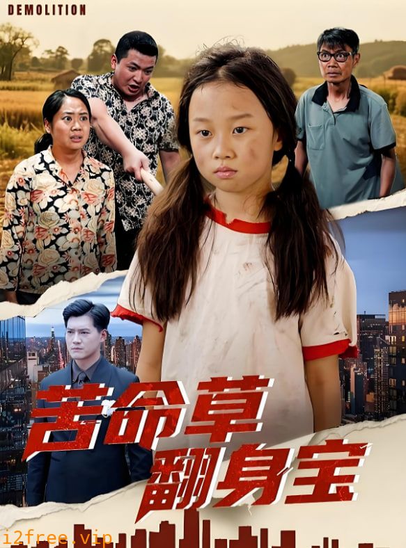 苦命草翻身宝 封面图片