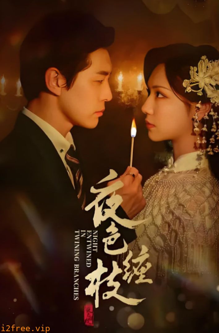 夜色缠枝 封面图片