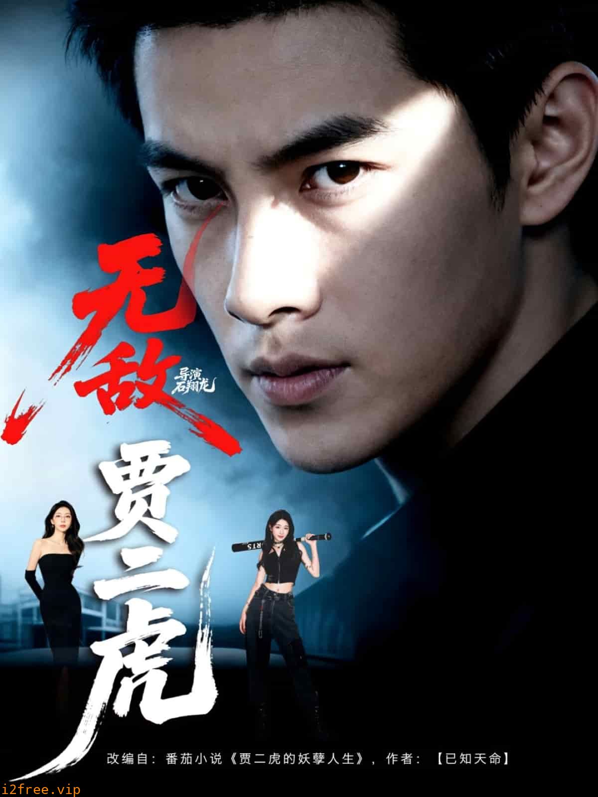 无敌贾二虎 封面图片